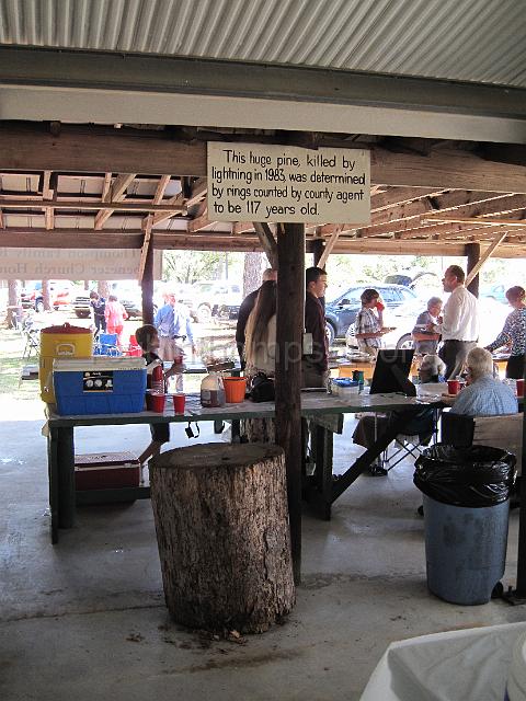 reubinthompson_org_36.jpg - Located under the pavillion is this section of a pine tree killed by lightning in 1983 and was aged at 117 years old.