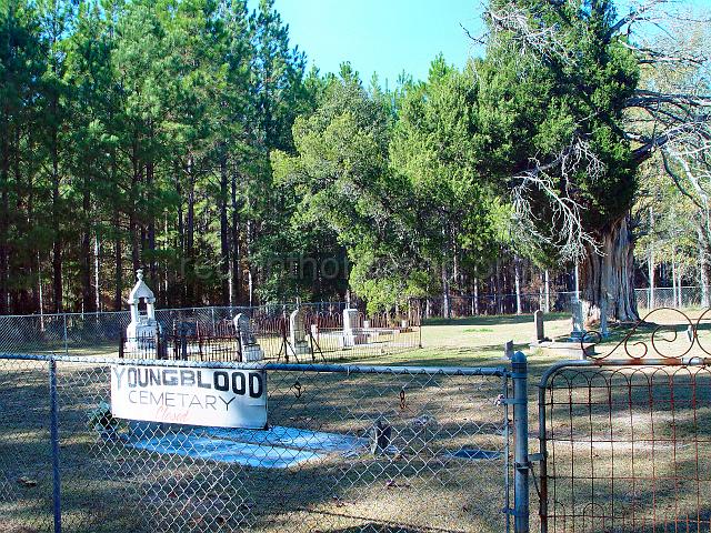 DSC01987.JPG - another view of the Youngblood Family Cemetery from the gate entrance