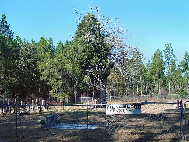 DSC01985.JPG - view of the Youngblood Family Cemetery from the gate entrance