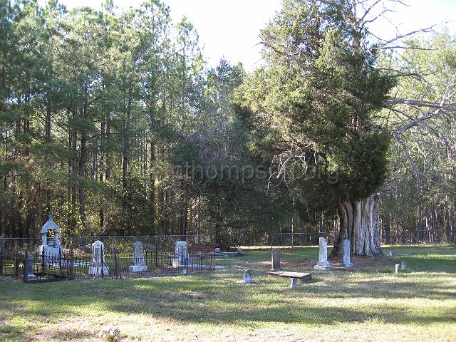 IMG_3814.JPG - a view of the Youngblood Cemetery showing the ancient eastern red cedar tree within the cemetery